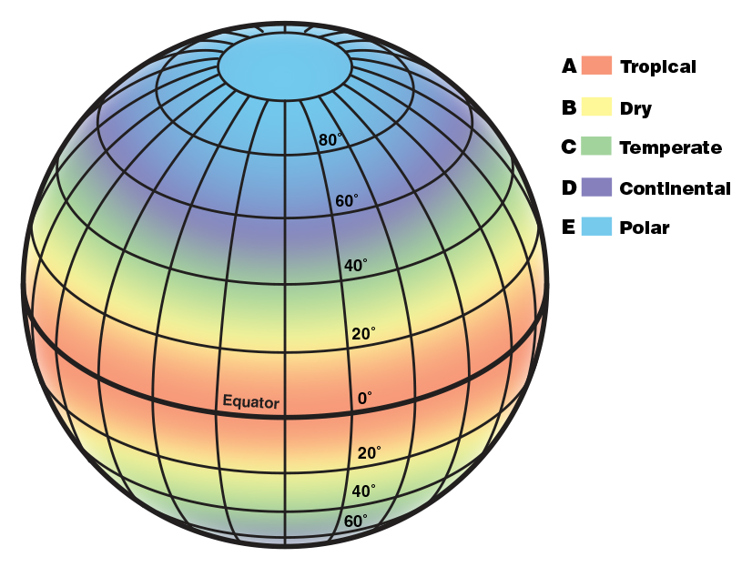 An illustration of a globe with latitude and longitude lines